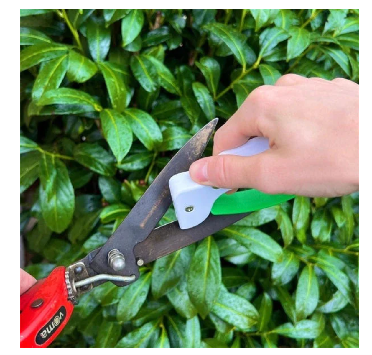 Garden tool sharpener